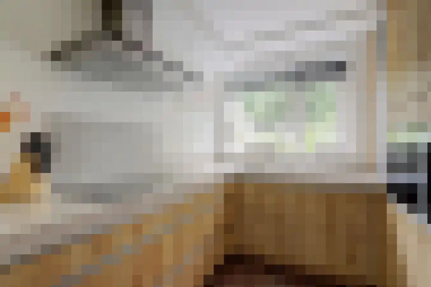 Antoniuslaan 43 Hendrik-Ido-Ambacht thumbnail 37