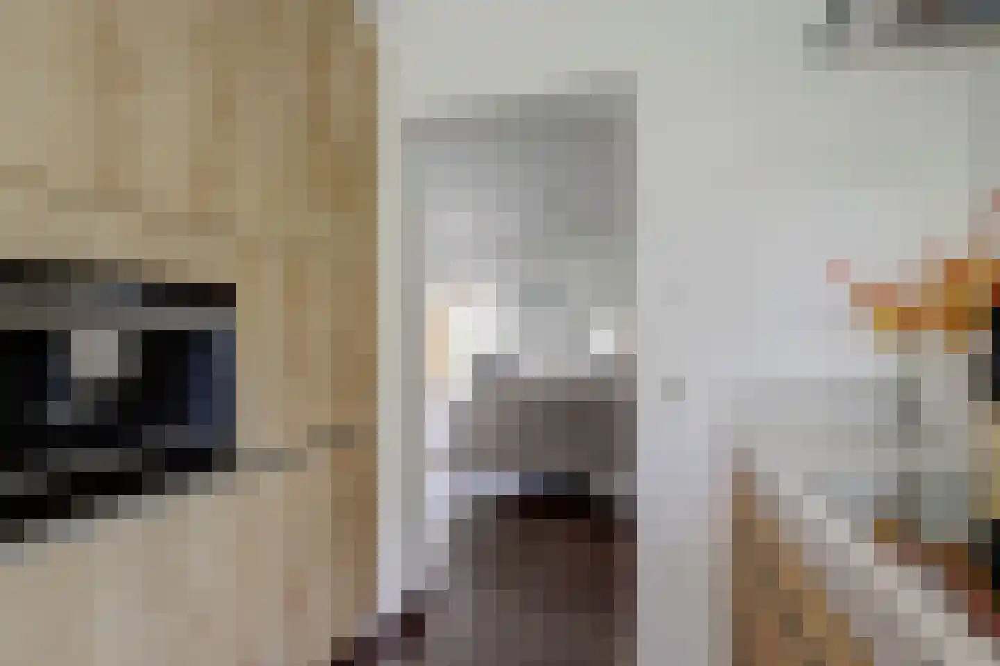 Antoniuslaan 43 Hendrik-Ido-Ambacht thumbnail 38