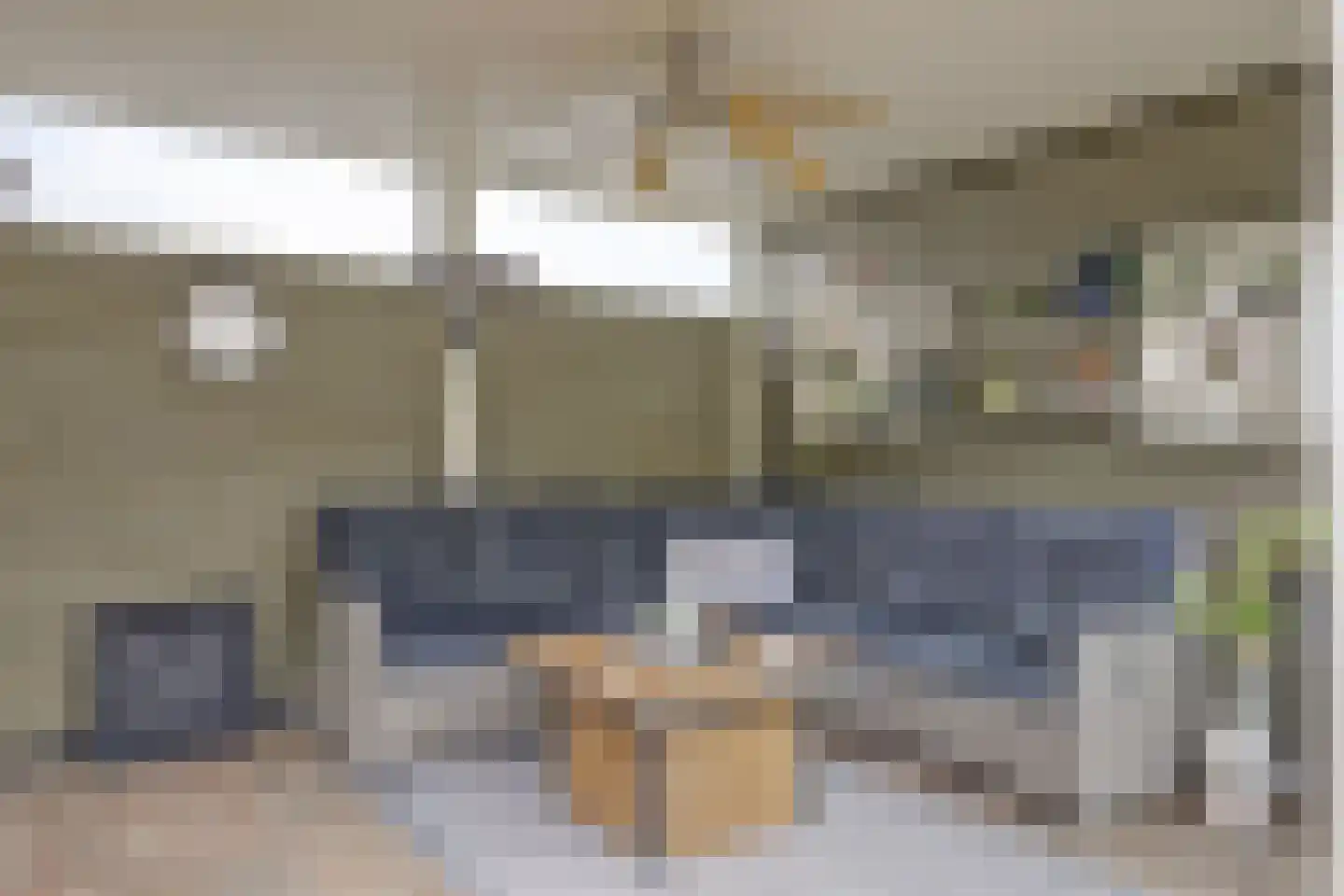 Antoniuslaan 43 Hendrik-Ido-Ambacht thumbnail 50