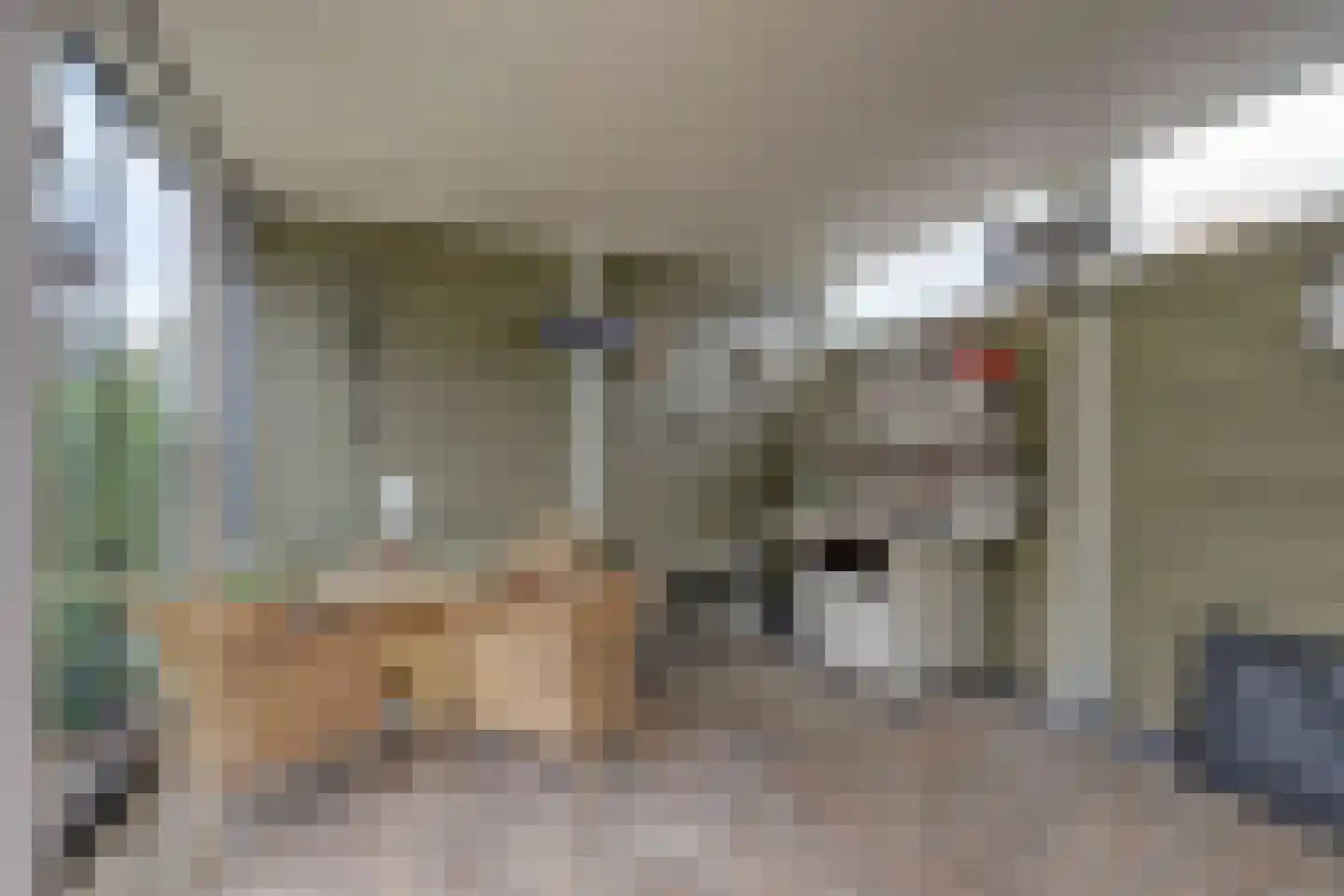 Antoniuslaan 43 Hendrik-Ido-Ambacht thumbnail 51