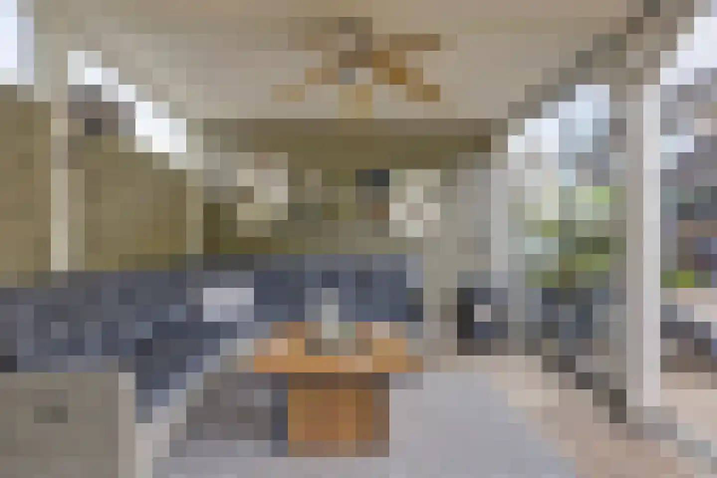 Antoniuslaan 43 Hendrik-Ido-Ambacht thumbnail 52