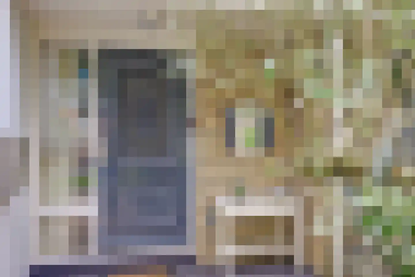 Antoniuslaan 43 Hendrik-Ido-Ambacht thumbnail 6
