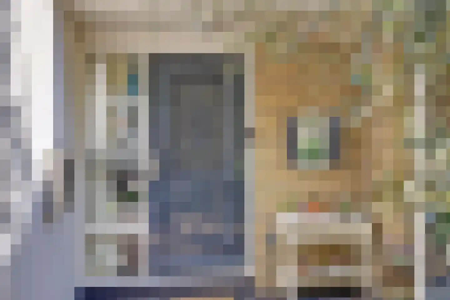 Antoniuslaan 43 Hendrik-Ido-Ambacht thumbnail 6
