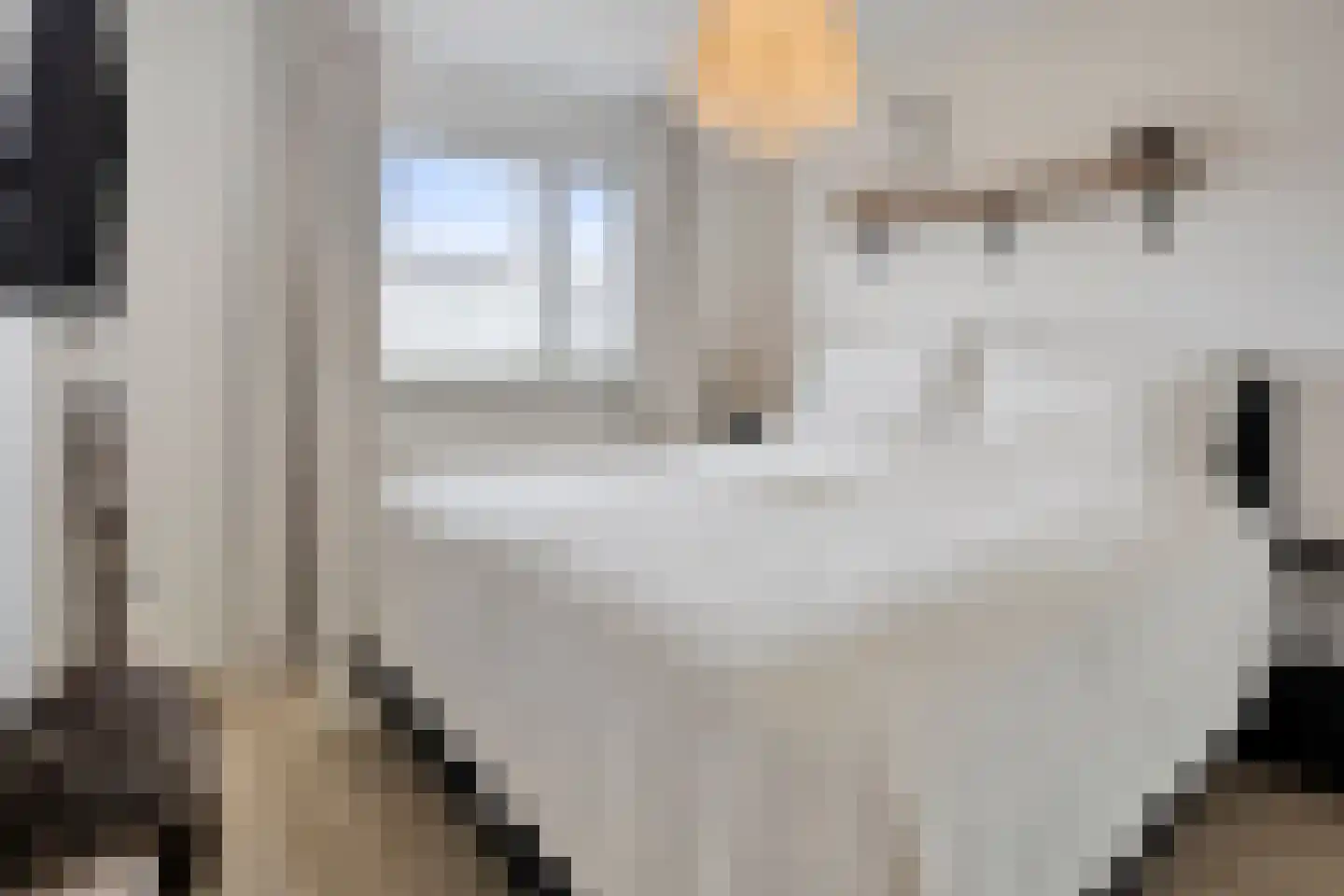 Antoniuslaan 5 Beuningen Gld thumbnail 18