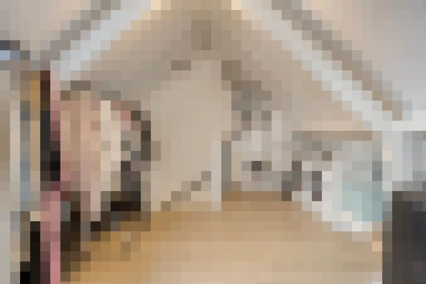 Antoniuslaan 5 Beuningen Gld thumbnail 27