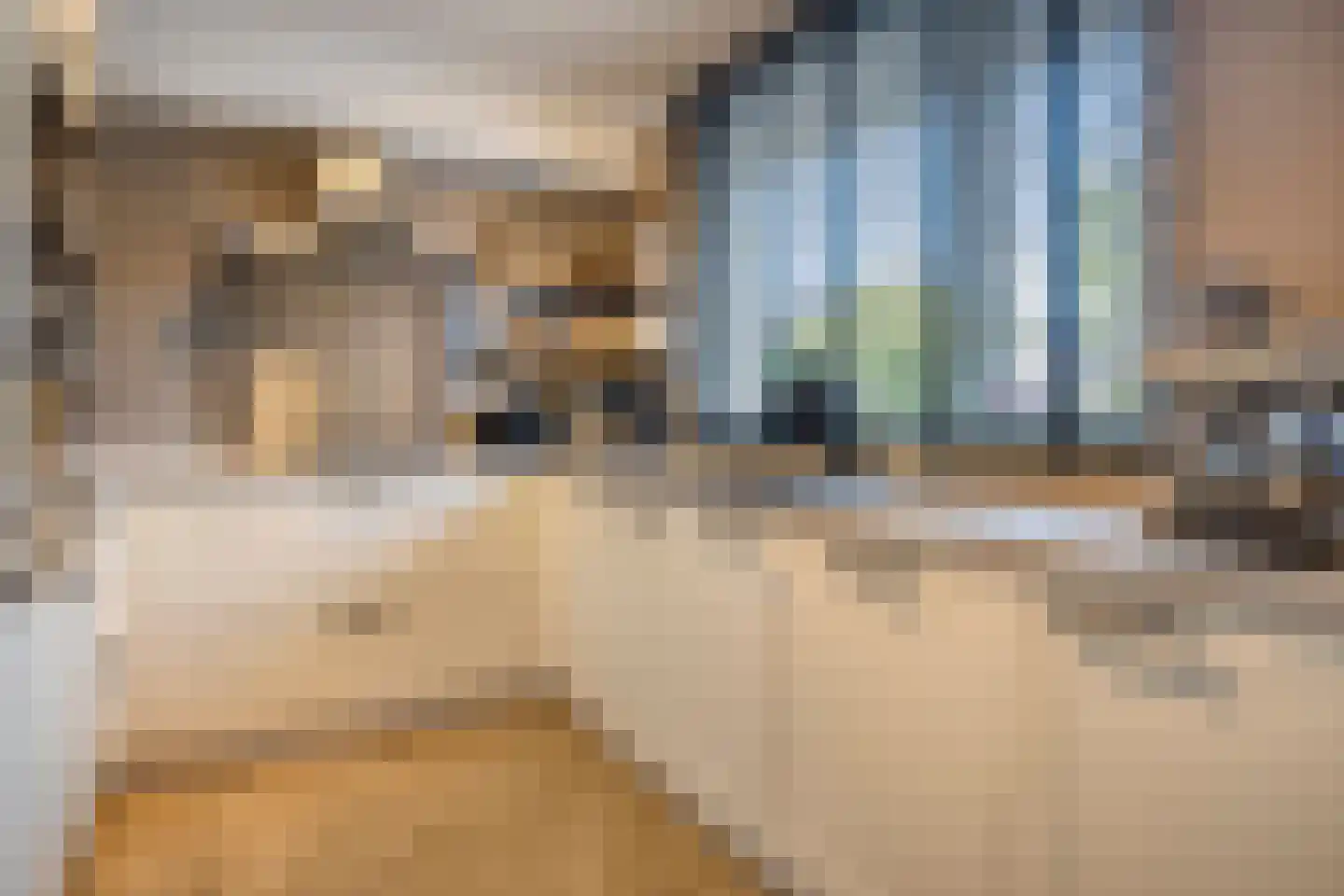Antoniuslaan 5 Beuningen Gld thumbnail 9