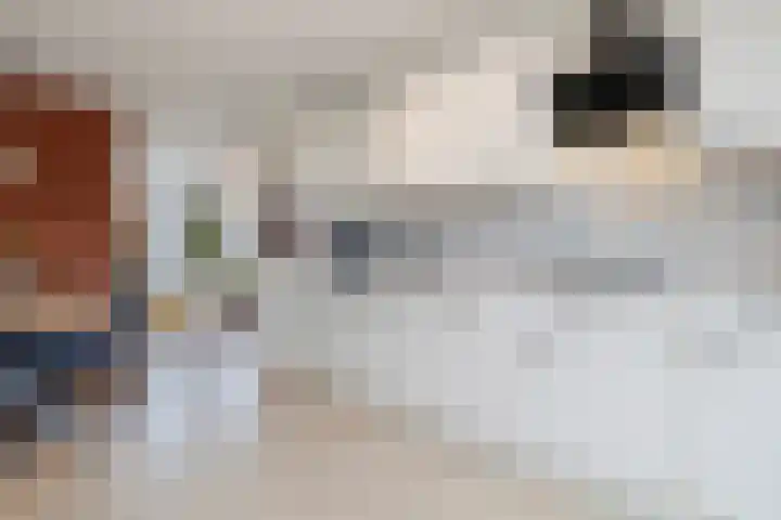 Antoniusmeule 6 Venlo thumbnail 15