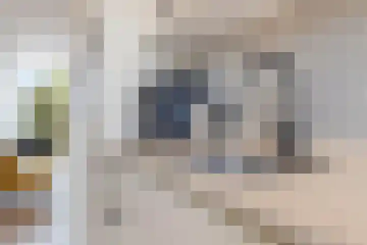 Antoniusmeule 6 Venlo thumbnail 17