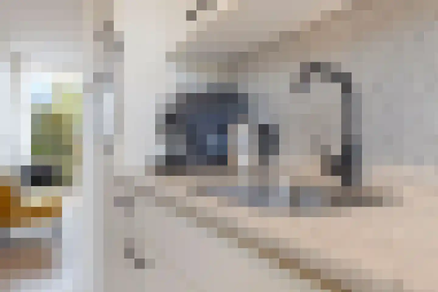 Antoniusmeule 6 Venlo thumbnail 17