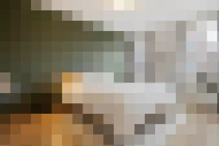 Antoniusmeule 6 Venlo thumbnail 22