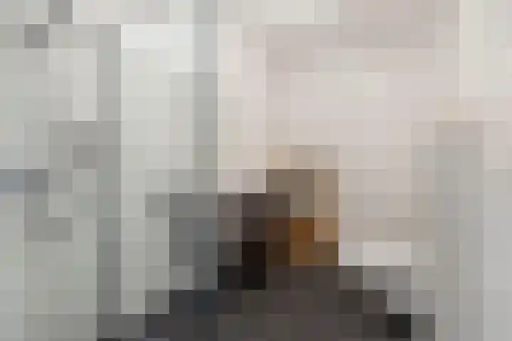 Antoniusmeule 6 Venlo thumbnail 28