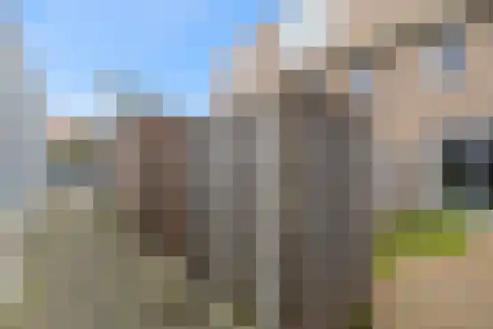 Antoniusmeule 6 Venlo thumbnail 40
