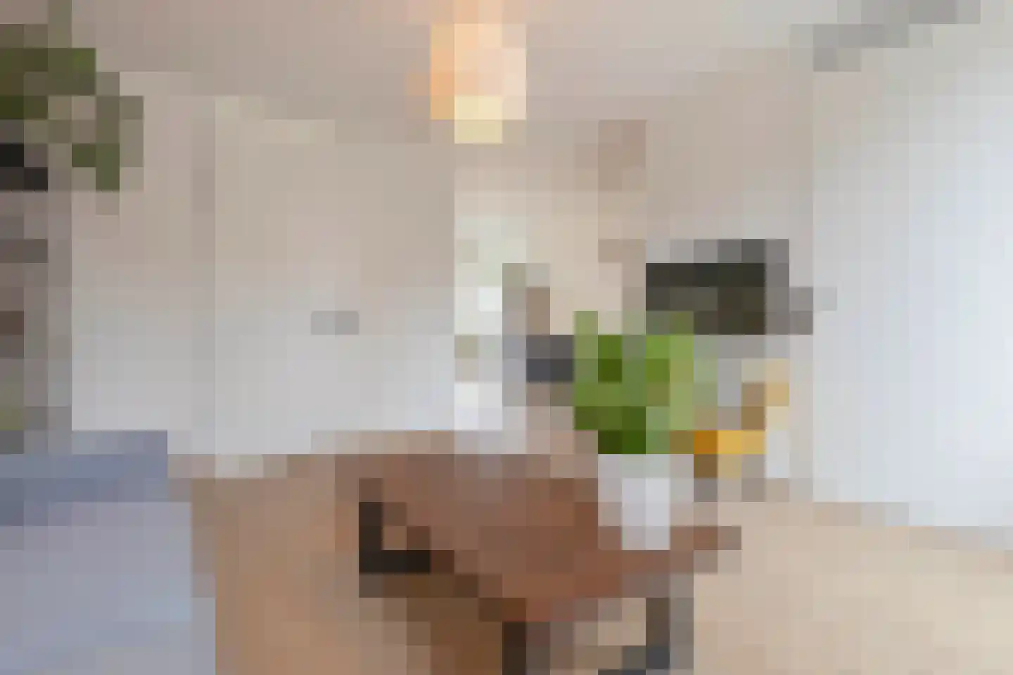 Antoniusmeule 6 Venlo thumbnail 8