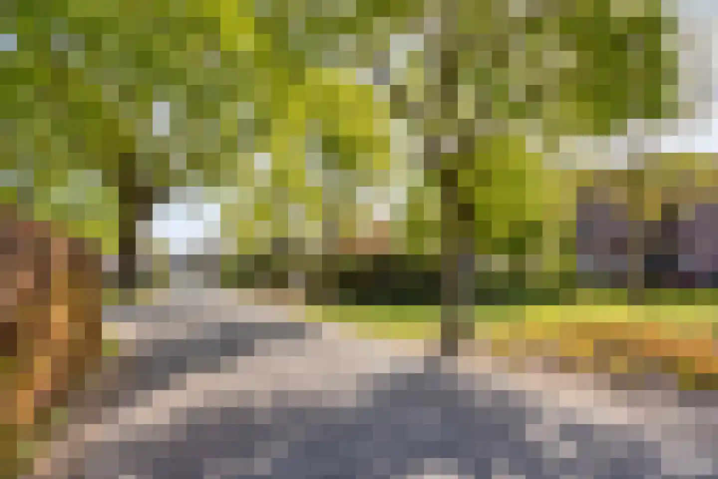 Antoniuspark 20 Sint Anthonis thumbnail 32