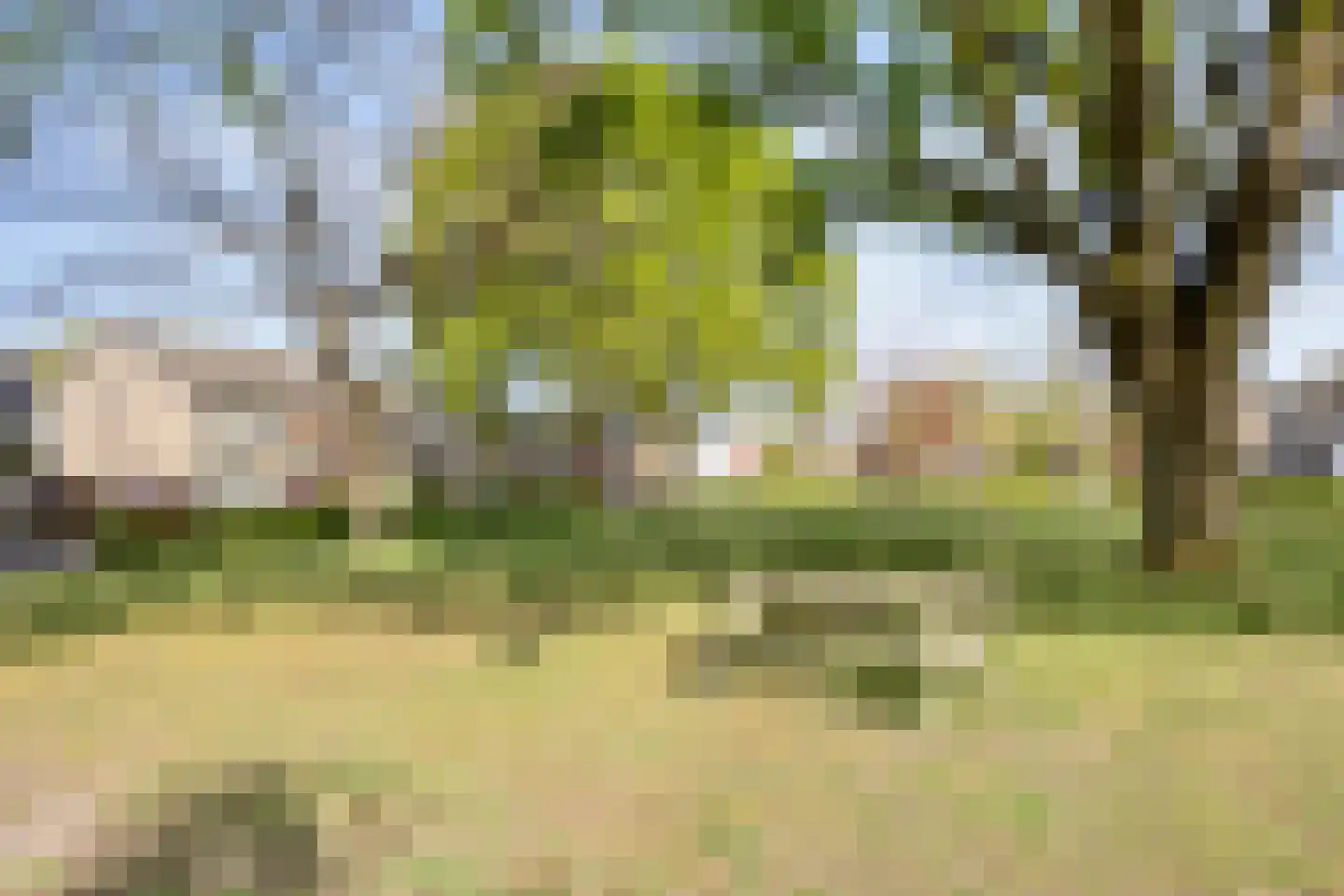 Antoniuspark 20 Sint Anthonis thumbnail 33