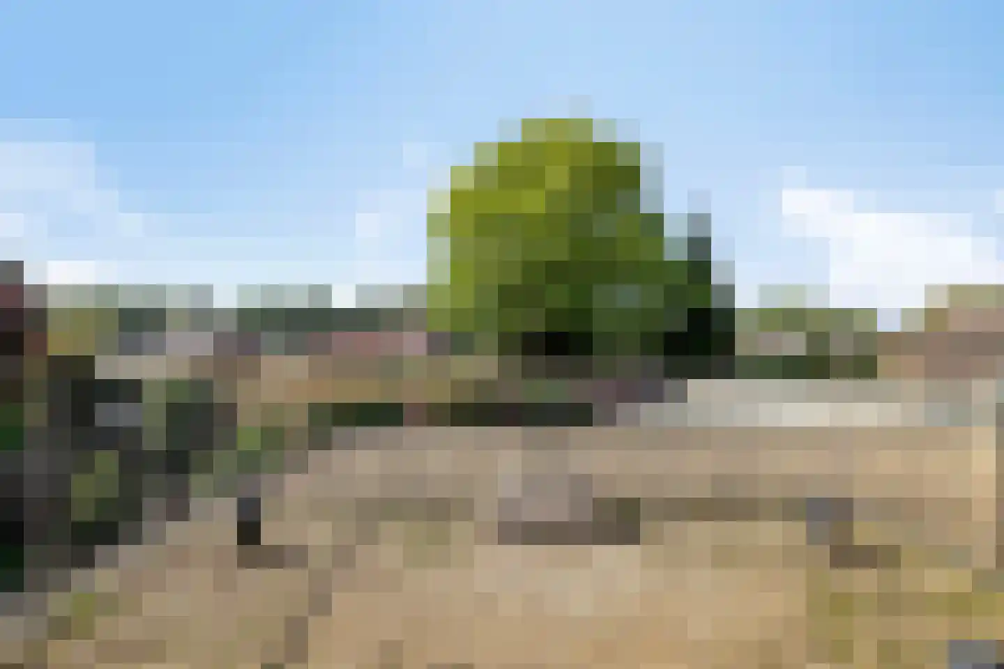 Antoniuspark 6 Sint Anthonis thumbnail 29