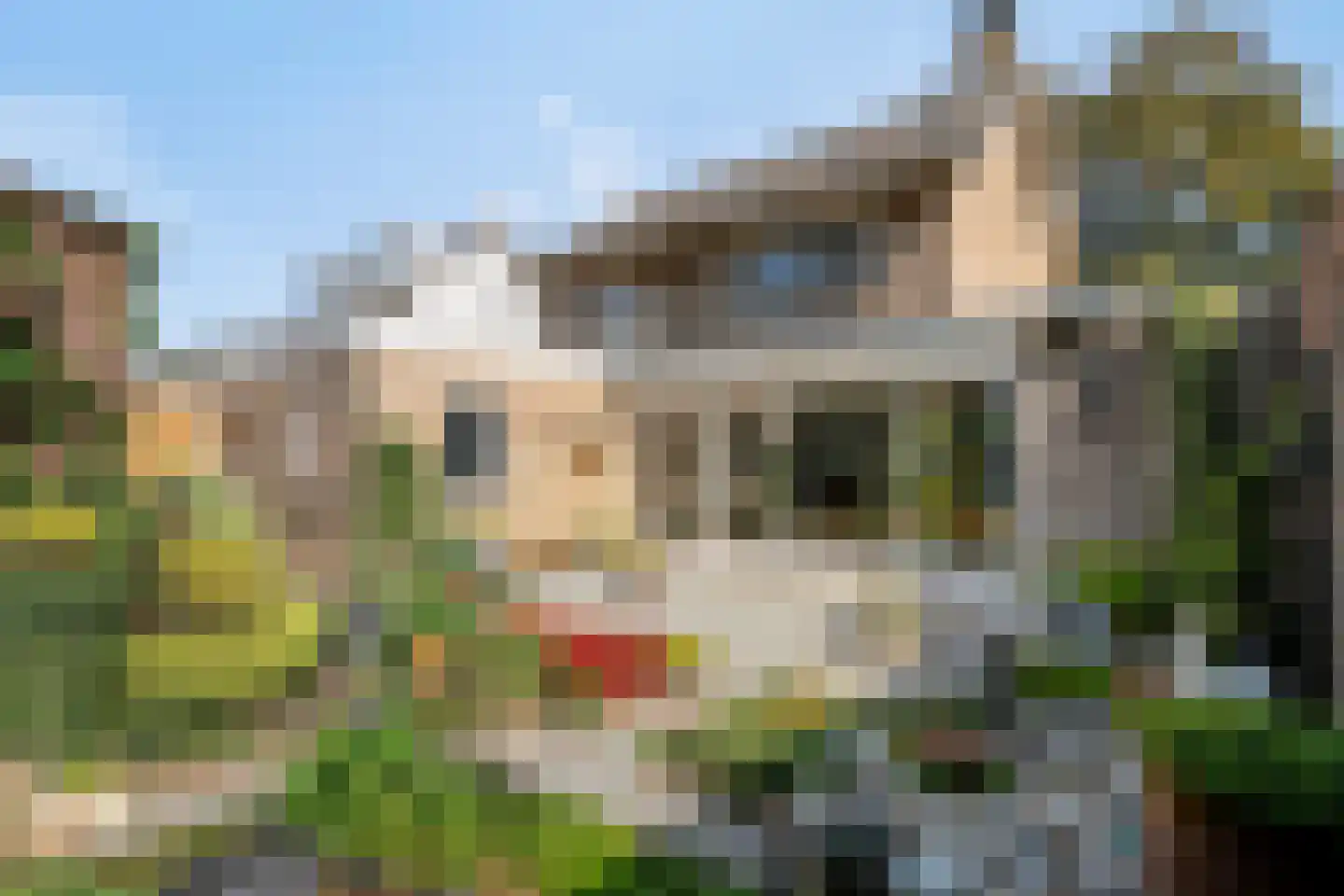 Antoniuspark 6 Sint Anthonis thumbnail 37