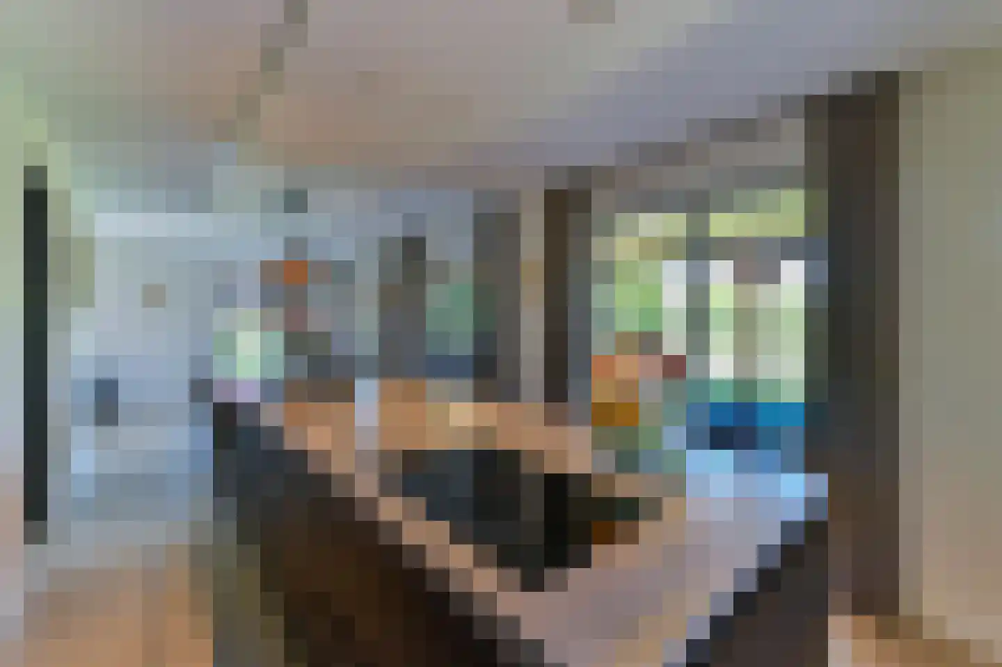 Antoniusplein 11 F Lomm thumbnail 10