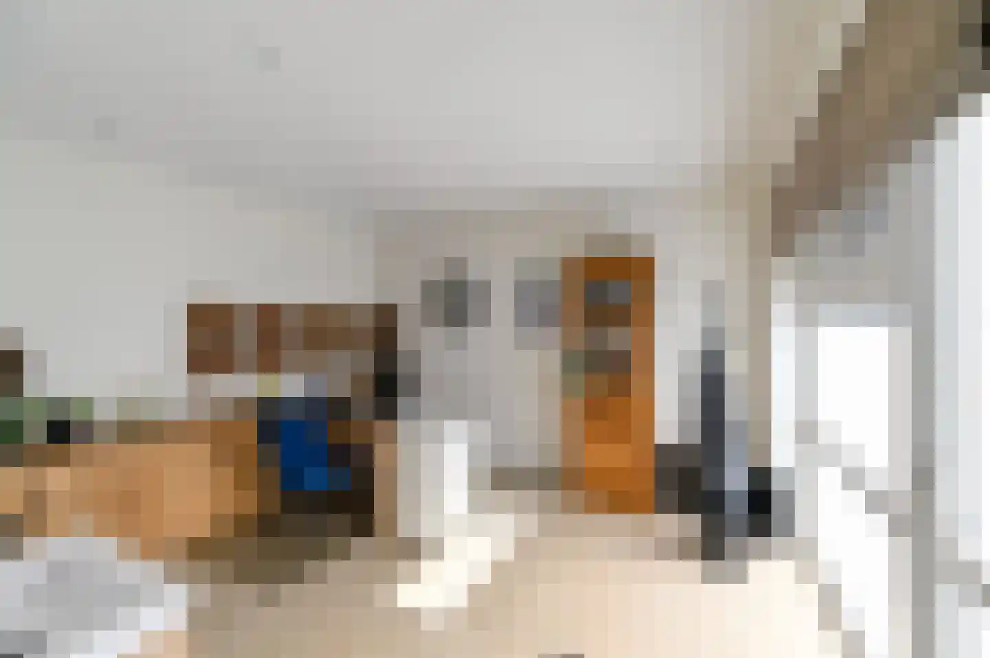 Antoniusplein 11 F Lomm thumbnail 17