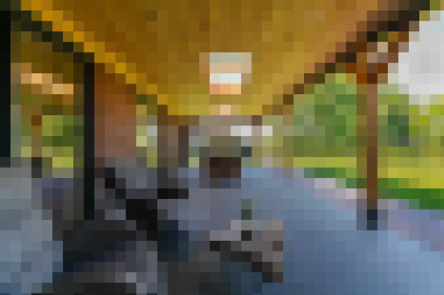 Antoniusplein 11 F Lomm thumbnail 22