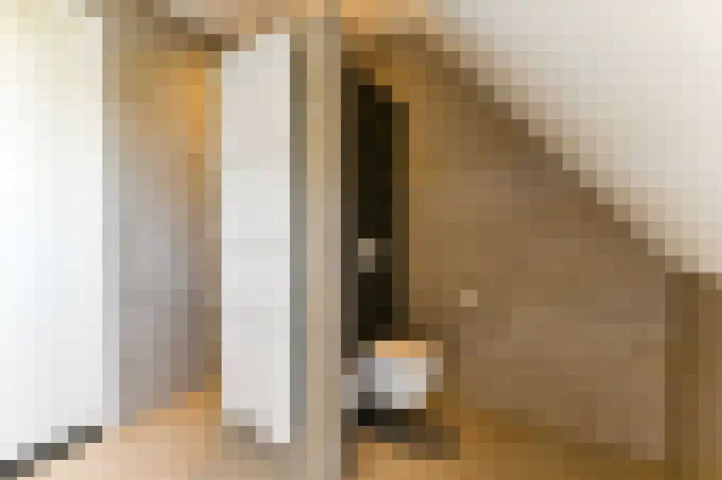 Antoniusplein 11 F Lomm thumbnail 32
