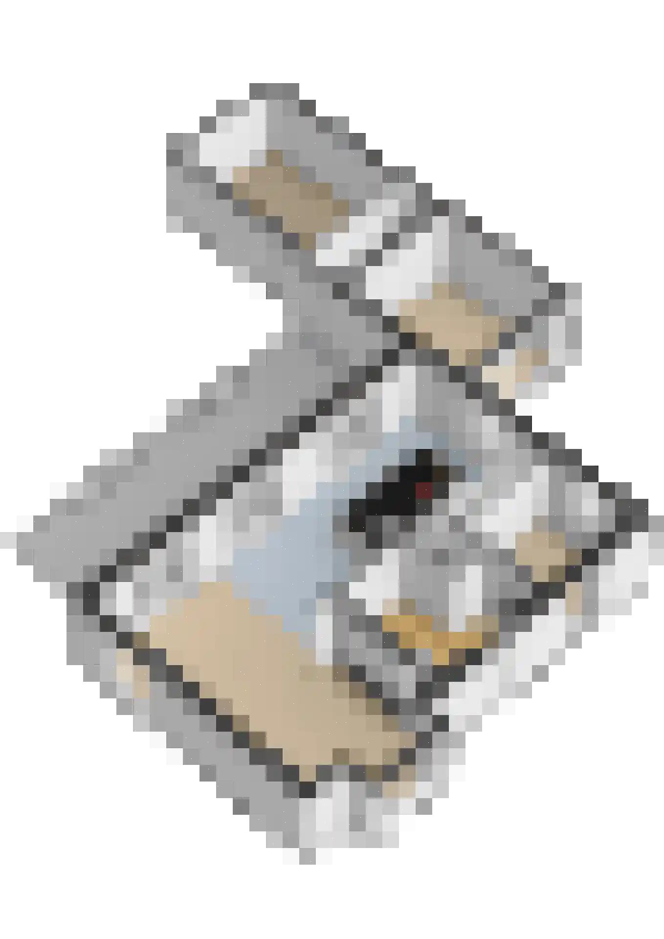 Antoniusplein 11 F Lomm thumbnail 34