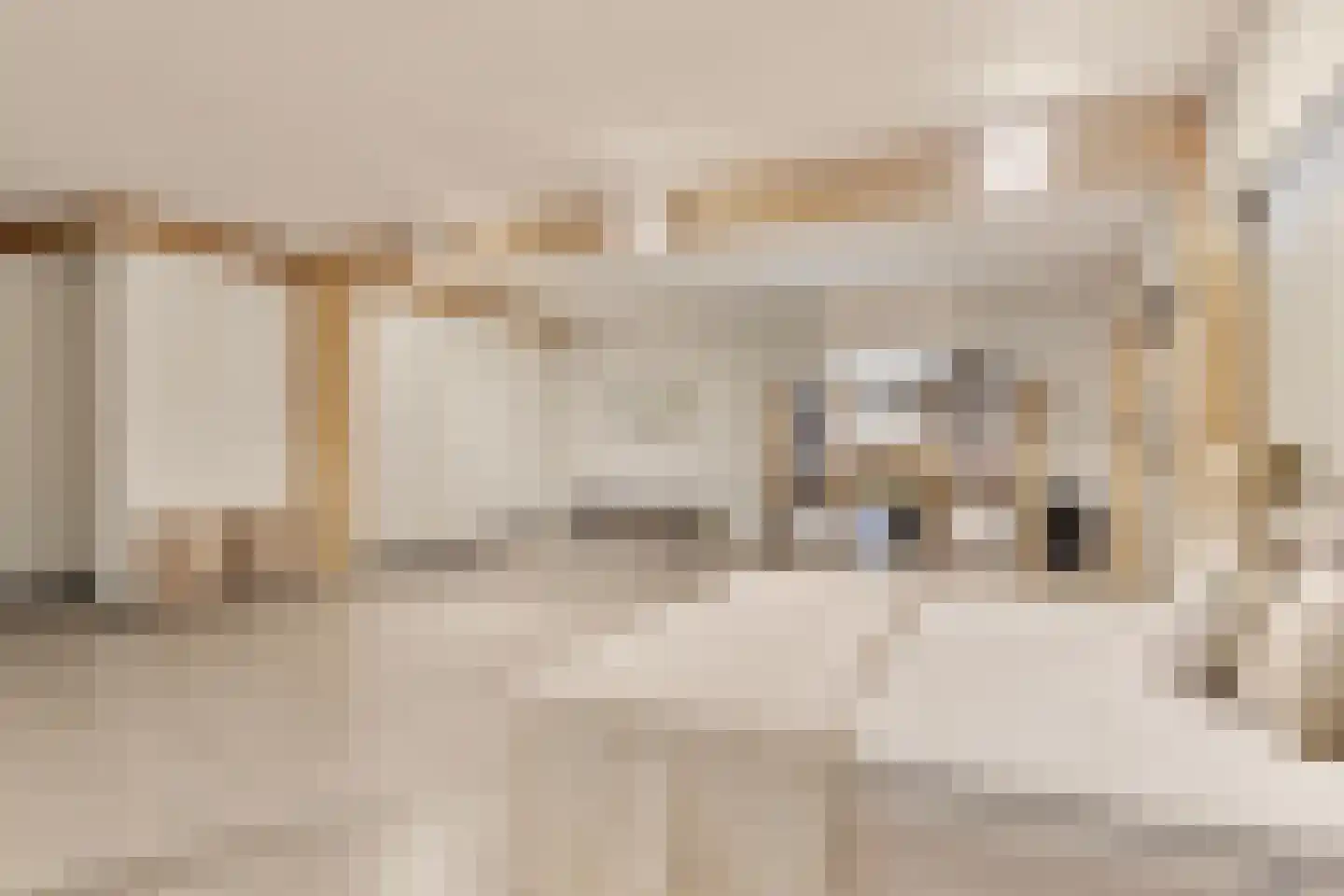 Antoniusplein 18 B Lomm thumbnail 17
