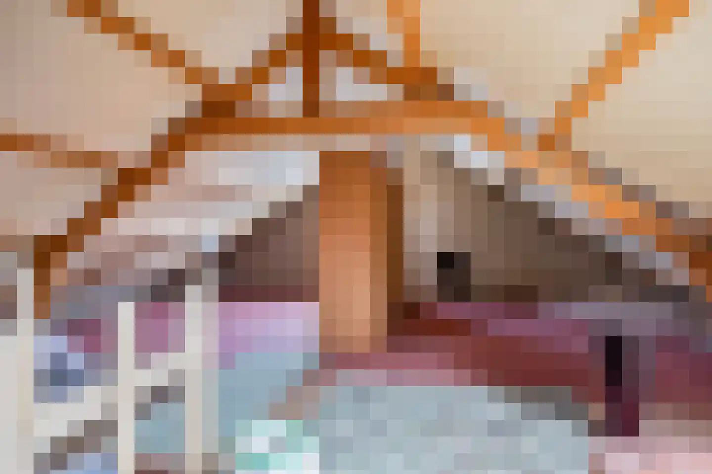Antoniusplein 18 B Lomm thumbnail 20
