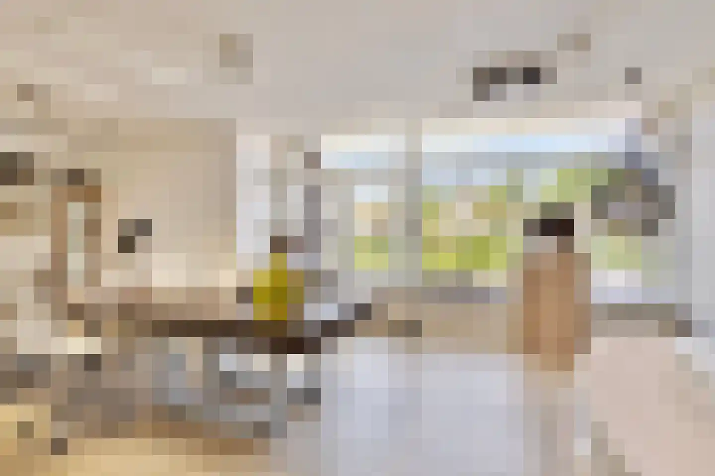 Antoniusplein 18 B Lomm thumbnail 24
