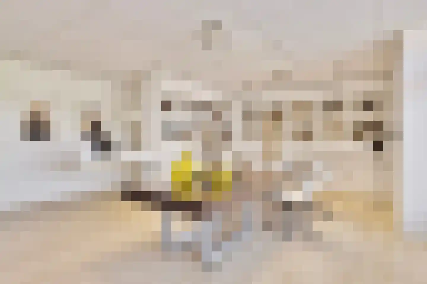 Antoniusplein 18 B Lomm thumbnail 25