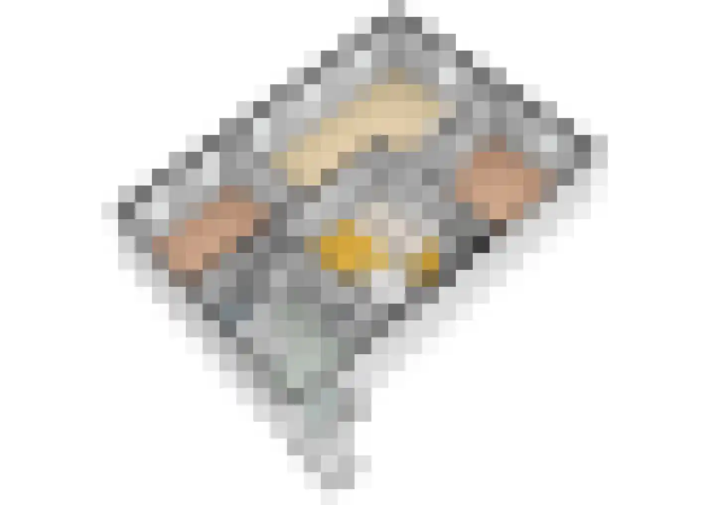 Antoniusplein 6 Venlo thumbnail 31