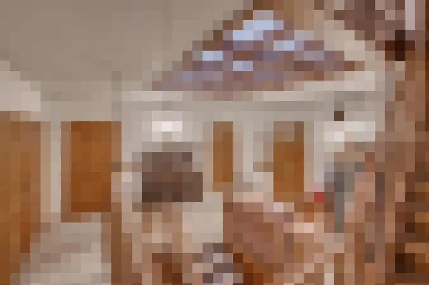 Antoniusplein 6 Venlo thumbnail 7
