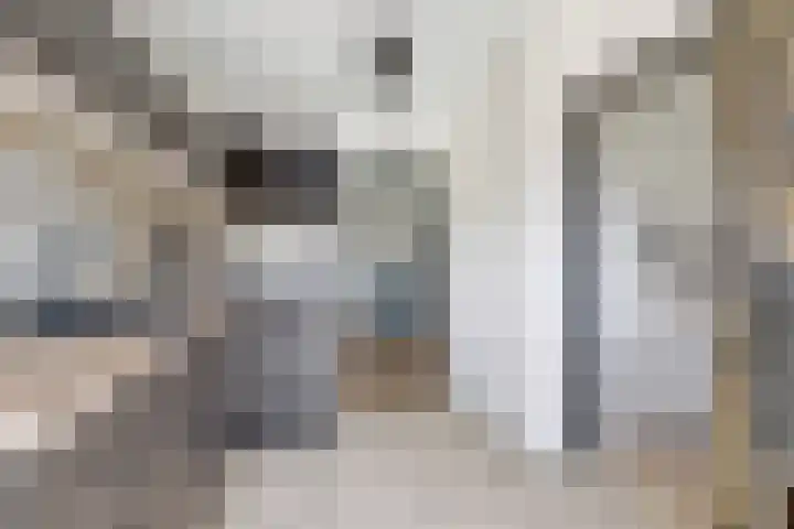 Antoniusstraat 11 Blitterswijck thumbnail 11