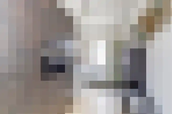 Antoniusstraat 11 Blitterswijck thumbnail 12