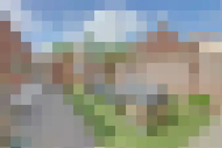 Antoniusstraat 11 Blitterswijck thumbnail 30