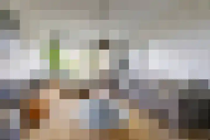 Antoniusstraat 11 Blitterswijck thumbnail 5