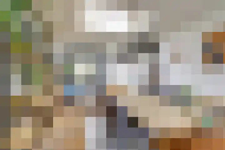 Antoniusstraat 11 Blitterswijck thumbnail 8