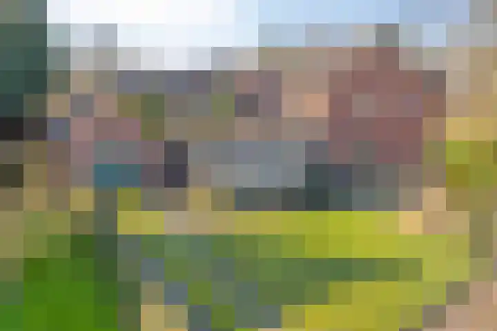 Antoniusstraat 11 Heusden thumbnail 34