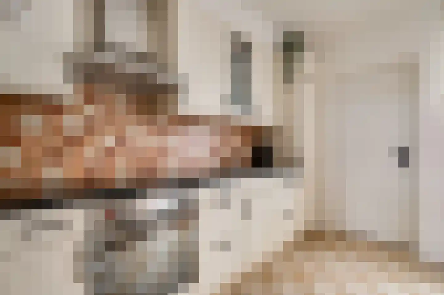Antoniusstraat 11 Wessem thumbnail 13