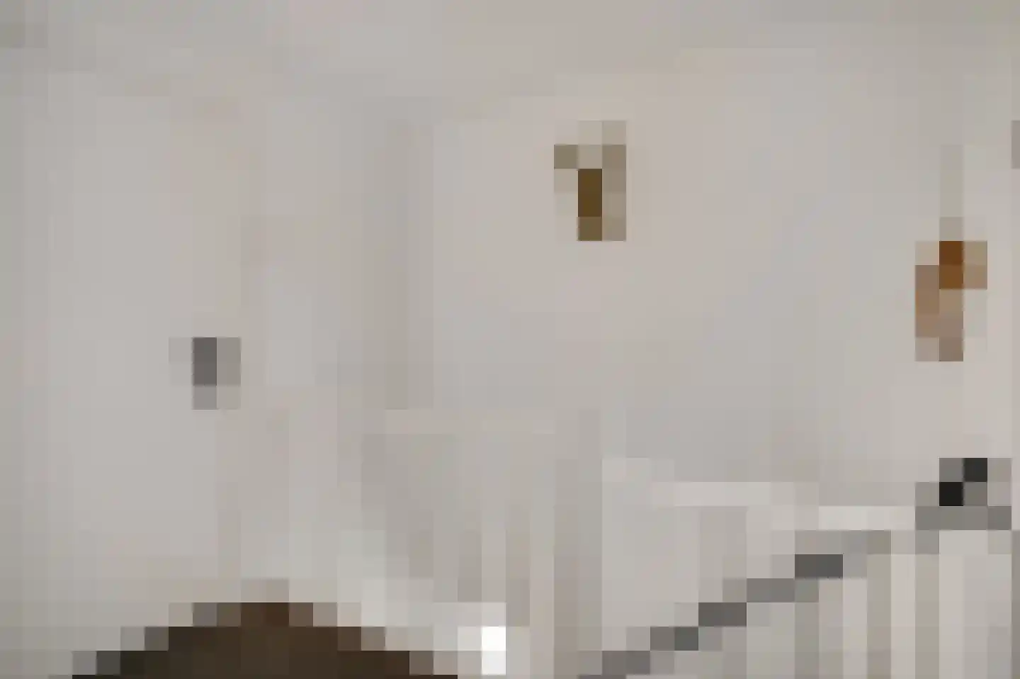 Antoniusstraat 11 Wessem thumbnail 20