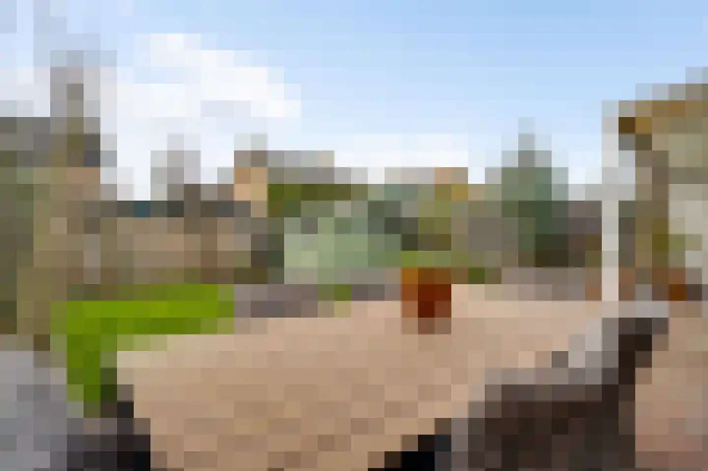 Antoniusstraat 11 Wessem thumbnail 32
