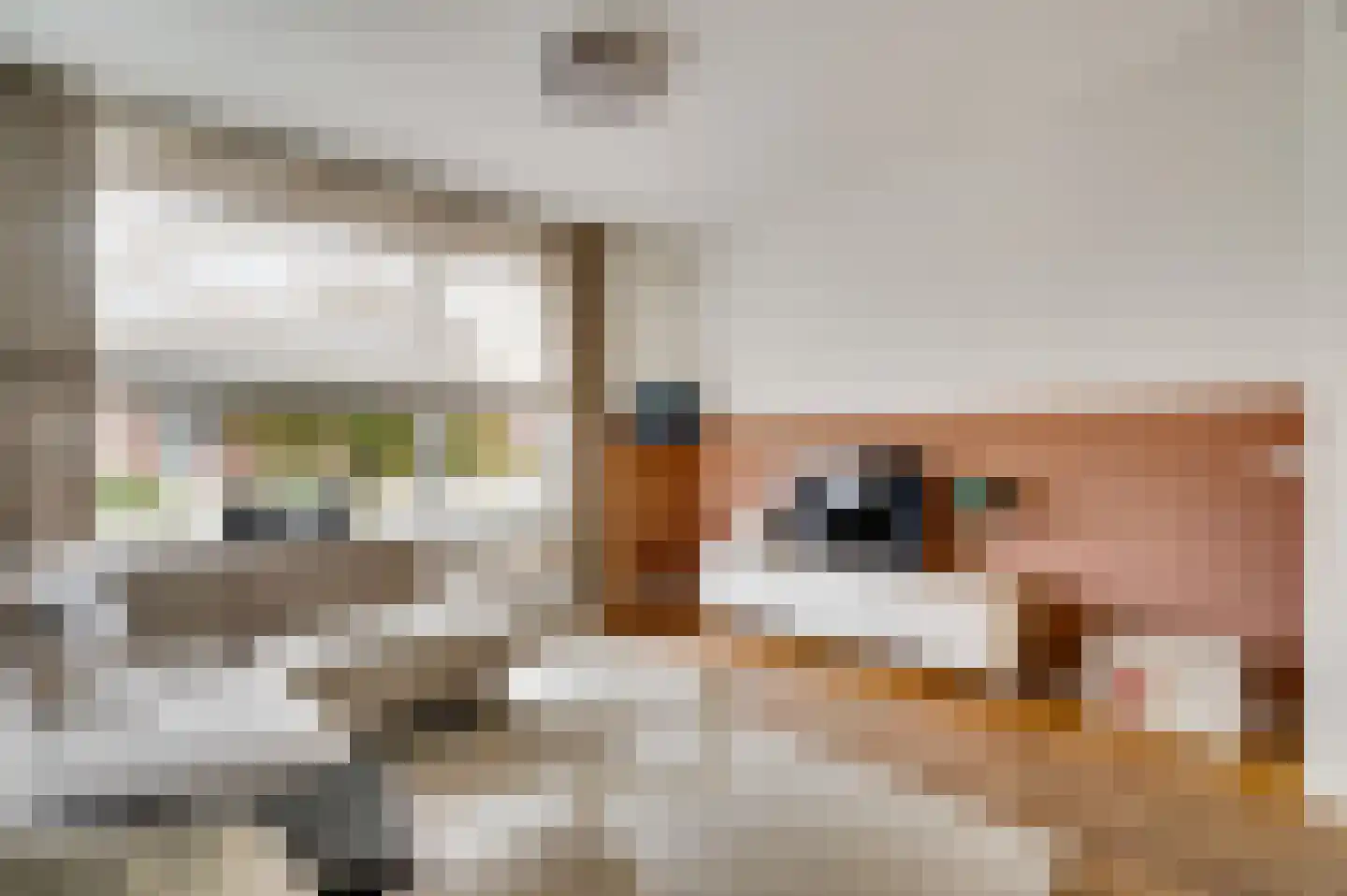 Antoniusstraat 11 Wessem thumbnail 4