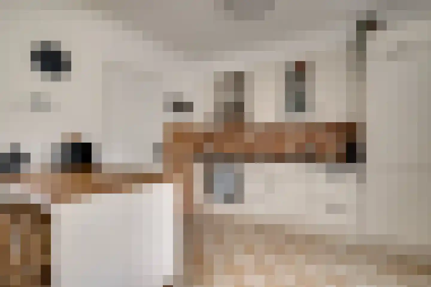 Antoniusstraat 11 Wessem thumbnail 5