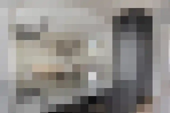 Antoniusstraat 11 Wijchen thumbnail 11