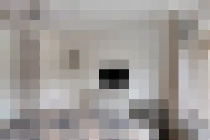 Antoniusstraat 11 Wijchen thumbnail 16