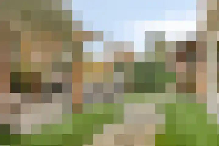 Antoniusstraat 11 Wijchen thumbnail 26