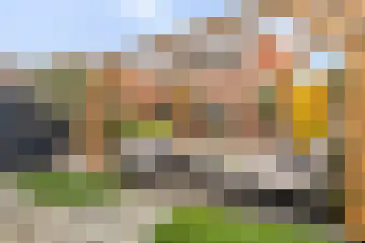 Antoniusstraat 11 Wijchen thumbnail 27