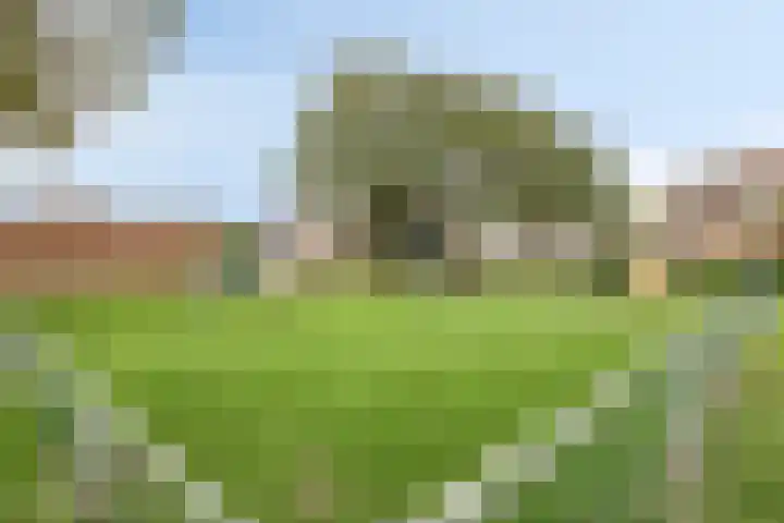 Antoniusstraat 11 Wijchen thumbnail 39