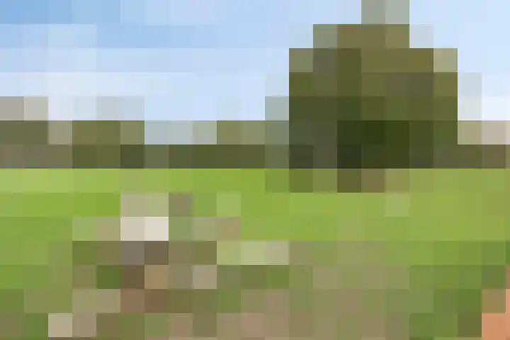 Antoniusstraat 11 Wijchen thumbnail 40