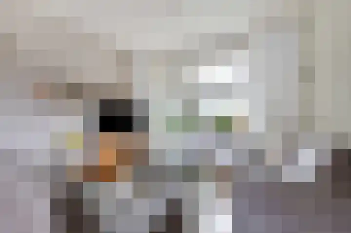 Antoniusstraat 13 Herwen thumbnail 18